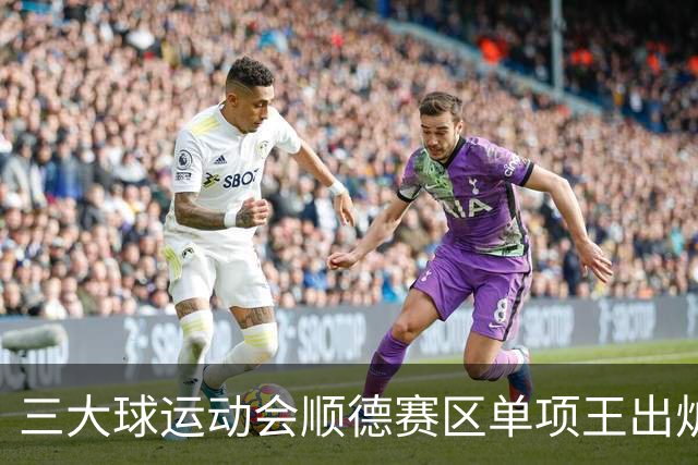 三大球运动会顺德赛区单项王出炉