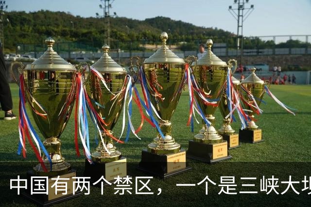 中国有两个禁区，一个是三峡大坝，另一个谁敢乱动就是公然宣战