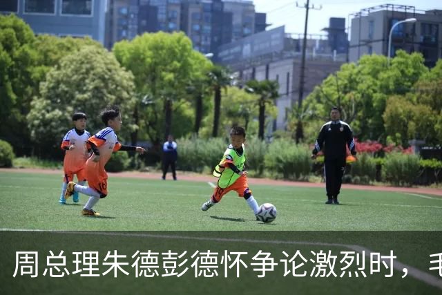 周总理朱德彭德怀争论激烈时，毛主席走过来：你们都想要许光达！