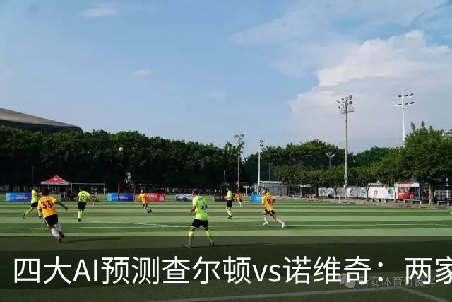 四大AI预测查尔顿vs诺维奇：两家看好主胜，豆包猜平局
