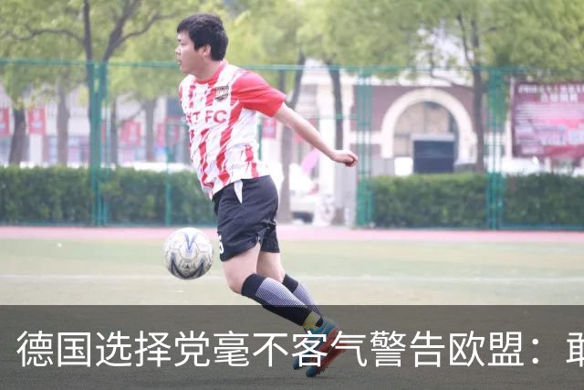 德国选择党毫不客气警告欧盟：敢拒绝我们的提议，后果将十分严重