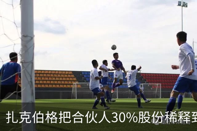 扎克伯格把合伙人30%股份稀释到0.03%，展现资本世界的残酷