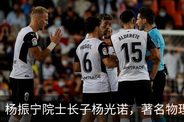 杨振宁院士长子杨光诺，著名物理学家兼诺贝尔物理奖获得者