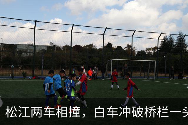 松江两车相撞，白车冲破桥栏一头栽下