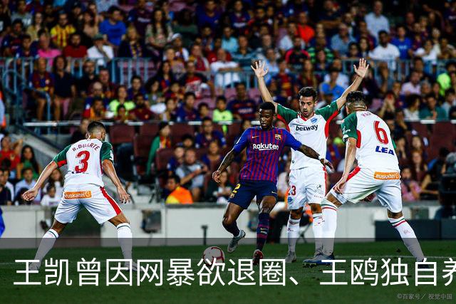 王凯曾因网暴欲退圈、王鸥独自养娃，两人为何此时大方同框？