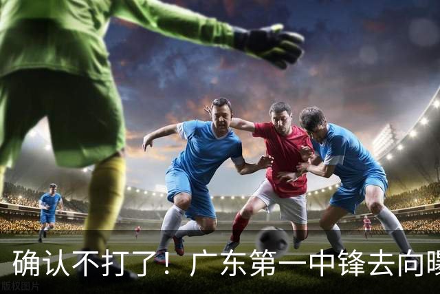 确认不打了！广东第一中锋去向曝光，力保亚帅躺进总决赛！