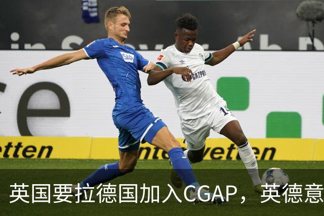 英国要拉德国加入CGAP，英德意日四国，这是要凑新时代的轴心国？