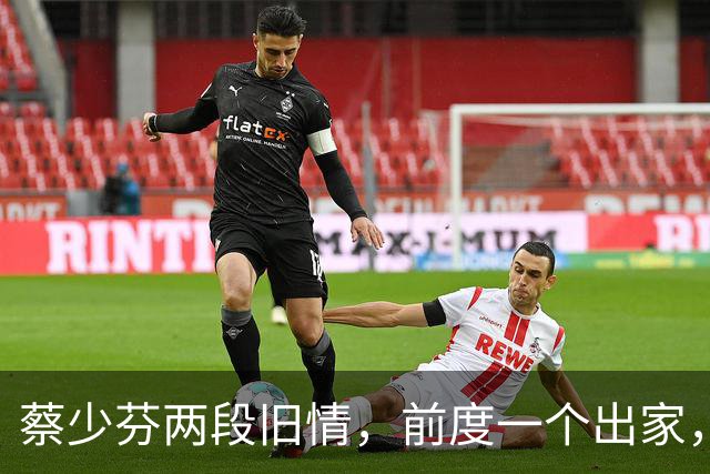 蔡少芬两段旧情，前度一个出家，一个再婚，昔日富商传闻仍屡遭演绎